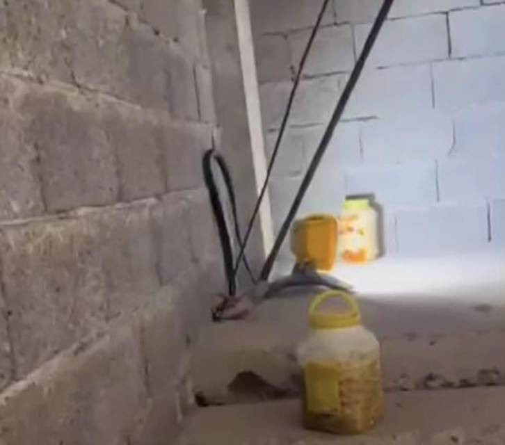 Yılanları mıknatıs gibi çeken 4 nokta belli oldu! Evinde olanlar dikkat - Resim: 22